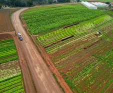 Com Aporte De R$ 30 Milhões, Estado Incrementa Agricultura E Turismo Em São José Dos Pinhais São José Dos Pinhais,