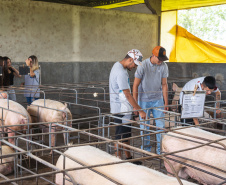 Governo propõe a criação de cooperativas-escolas nos colégios agrícolas