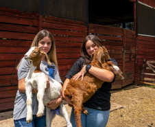 Governo propõe a criação de cooperativas-escolas nos colégios agrícolas