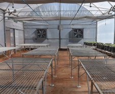 Alta tecnologia de nova casa de vegetação da Agronomia aumentará qualidade de experimentos 