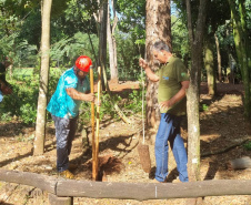 Com apoio de funcionários, IAT erradica 37 plantas exóticas em viveiros do Paraná