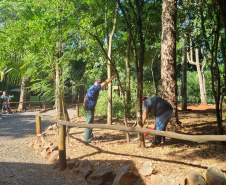 Com apoio de funcionários, IAT erradica 37 plantas exóticas em viveiros do Paraná