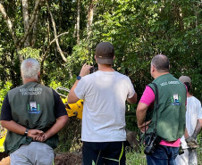 IAT colocou em prática um plano semanal de monitoramento e fiscalização de áreas urbanas e de proteção ambiental desmatadas irregularmente em Guaratuba, no Litoral.