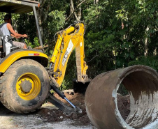 IAT colocou em prática um plano semanal de monitoramento e fiscalização de áreas urbanas e de proteção ambiental desmatadas irregularmente em Guaratuba, no Litoral.