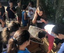 Portos do Paraná instala duas novas composteiras em escolas da Ilha do Mel