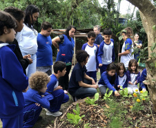 Portos do Paraná instala duas novas composteiras em escolas da Ilha do Mel