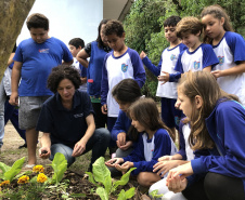 Portos do Paraná instala duas novas composteiras em escolas da Ilha do Mel