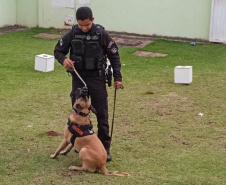  Em parceria com a Secretaria Municipal de Educação, Polícia Penal auxilia em projeto educativo sobre fauna em CMEIs de Maringá