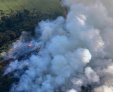  Fiscalização do IAT em parceria com a Força-Verde e a Marinha resultou em prisão, multas e o embargo de áreas desmatadas.