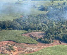  Fiscalização do IAT em parceria com a Força-Verde e a Marinha resultou em prisão, multas e o embargo de áreas desmatadas.