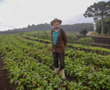 Com Aporte De R$ 30 Milhões, Estado Incrementa Agricultura E Turismo Em São José Dos Pinhais São José Dos Pinhais,