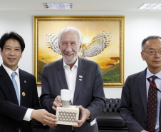 Comitiva Japonesa