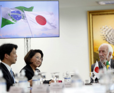 Comitiva Japonesa