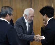 Comitiva Japonesa