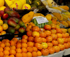 Frutas da estação como caqui, kiwi e tangerina apresentam queda nos preços, aponta boletim