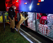 Operação de Fronteiras e Divisas Integradas resulta em 3,4 toneladas de drogas apreendidas