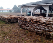 Operação conjunta combate comércio de madeira ilegal em General Carneiro
