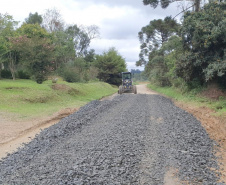 DER-PR divulga vencedor da licitação para conservação de vias rurais de Mallet, São Mateus do Sul e Lapa