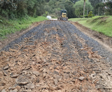 DER-PR divulga vencedor da licitação para conservação de vias rurais de Mallet, São Mateus do Sul e Lapa