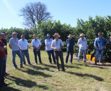 Visita técnica do Sistema Estadual de Agricultura a propriedades de café em Carlópolis