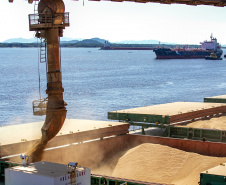   Portos do Paraná registram alta na movimentação geral de carga em abril
