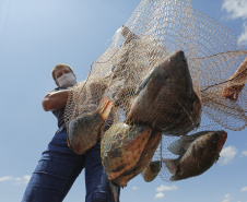 Na primeira faixa, que engloba trabalhadores agropecuários, florestais e da pesca, o salário salta de R$ 1.731,02 para R$ 1.749,02. 