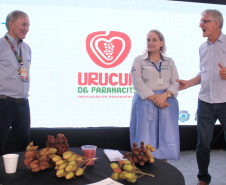 Produtores e lideranças buscam registro de Indicação Geográfica para o urucum de Paranacity