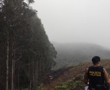 Polícia Militar realiza operação contra crimes ambientais na Região Metropolitana de Curitiba