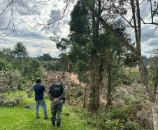 Polícia Militar realiza operação contra crimes ambientais na Região Metropolitana de Curitiba