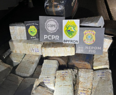 Forças de segurança apreendem mais de uma tonelada de drogas na Operação Fronteiras e Divisas