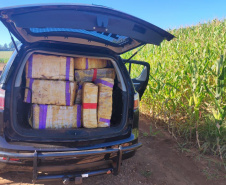 *Polícia Militar apreende mais de uma tonelada de droga em Cascavel*