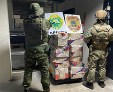 Polícia Militar apreende mais de meia tonelada de droga em ocorrências distintas