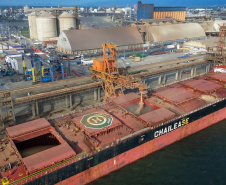 Terminais do Porto de Paranaguá esperam carregar 9.428.30 toneladas de grãos e farelo