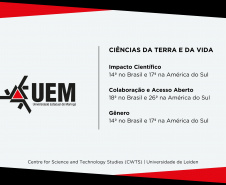 UEM e UEL estão entre as universidades que mais produzem pesquisa de impacto no Brasil