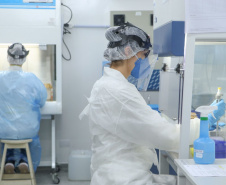 Governo libera R$ 4,4 milhões para fortalecer a produção científica e tecnológica paranaense