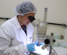 Estado busca projetos de diferentes segmentos produtivos para investir R$ 20 milhões