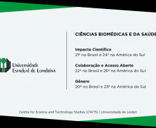 UEM e UEL estão entre as universidades que mais produzem pesquisa de impacto no Brasil