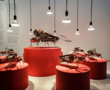 MON terá programação especial da nova exposição africana para público com mais de 60 anos