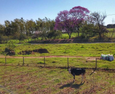 Em agosto, o Instituto Água e Terra (IAT) começa a utilizar em três regionais o módulo de Análise Dinamizada do SICAR Nacional para automatizar a etapa de conferência dos cadastros de imóveis rurais.