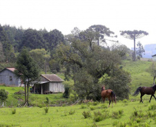 Em agosto, o Instituto Água e Terra (IAT) começa a utilizar em três regionais o módulo de Análise Dinamizada do SICAR Nacional para automatizar a etapa de conferência dos cadastros de imóveis rurais.