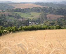 Em agosto, o Instituto Água e Terra (IAT) começa a utilizar em três regionais o módulo de Análise Dinamizada do SICAR Nacional para automatizar a etapa de conferência dos cadastros de imóveis rurais.