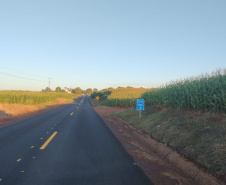 Conservação PR-461