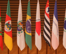 Governador participa do 8º Cosud em Minas Gerais