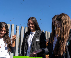 Colégio Agrícola da Lapa abraça projeto de abelhas nativas e leva tema às aulas