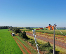 Paraná Trifásico entrega 12,5 mil km de novas redes e alcança 50% do programado