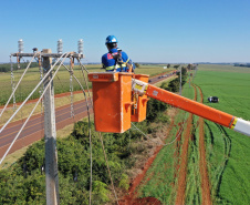 Paraná Trifásico entrega 12,5 mil km de novas redes e alcança 50% do programado