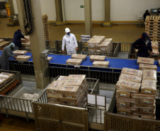 Líder nacional na produção de carne de frango, Paraná bate novo recorde trimestral