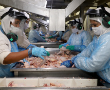 Líder nacional na produção de carne de frango, Paraná bate novo recorde trimestral