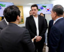 Reunião celepar e corea