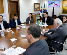 Reunião celepar e corea